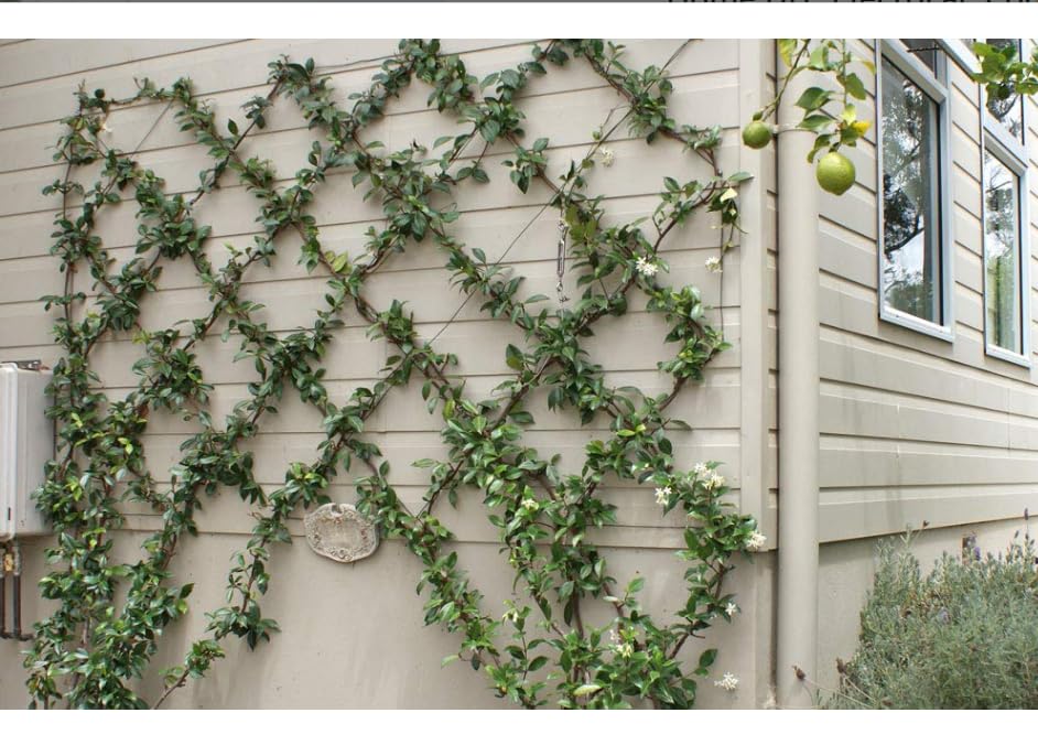 Image of GI Galvanized Binding Wire for Gardening, Home DIY, Electrical, Construction or multipurpose 35mtr length &1.2 mm Thickness (Great load bearing capacity for heavy work)