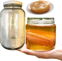 Scoby Kombucha Original + Vidro 3 Litros Para Fermentação