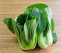 Toy Choy Baby Pak Choy Heirloom Seeds - Fast-Growing Bok Choy for Stir Fry | Sherwoods Seeds 20+ Premium Pack