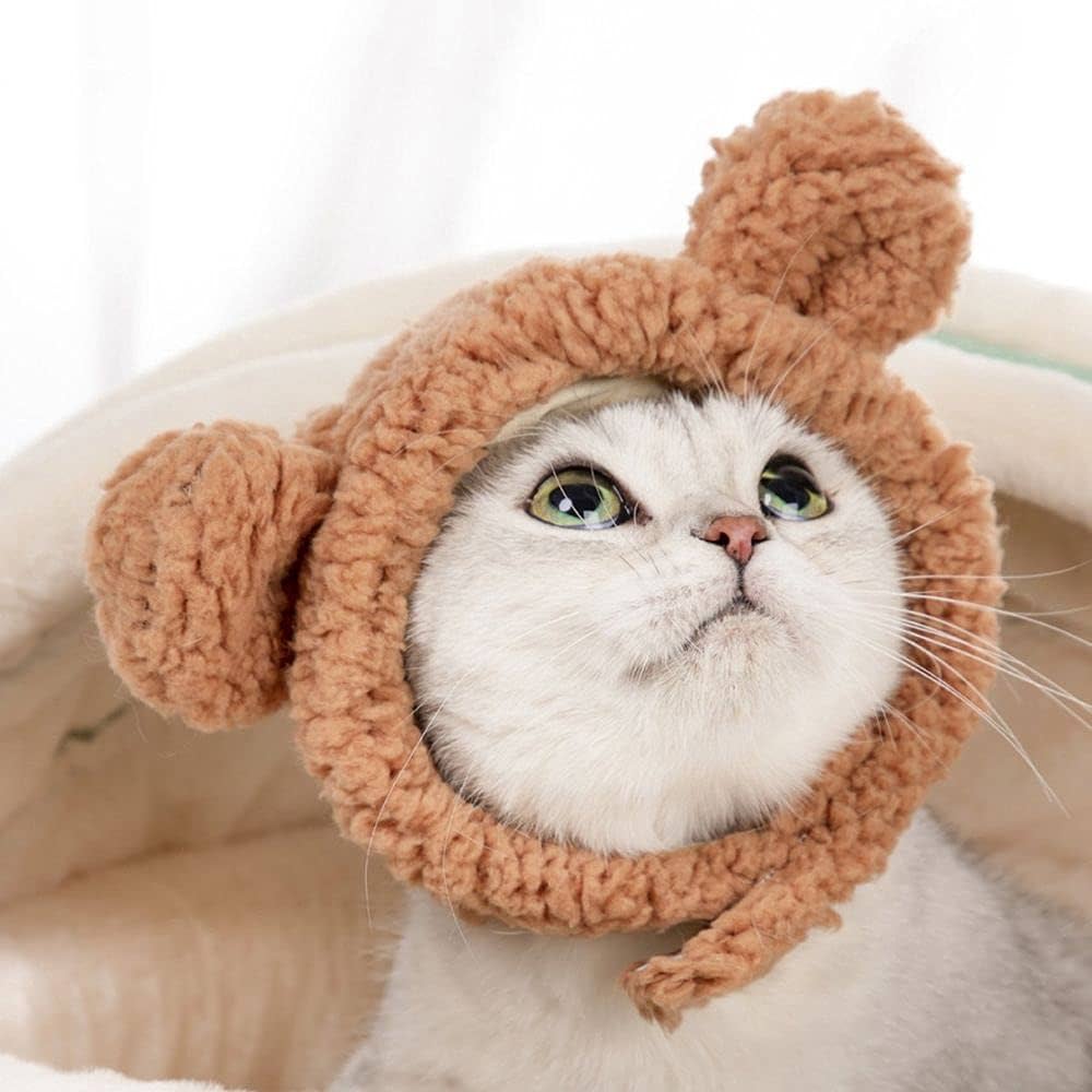 Bear Cat Costume ubicaciondepersonas.cdmx.gob.mx