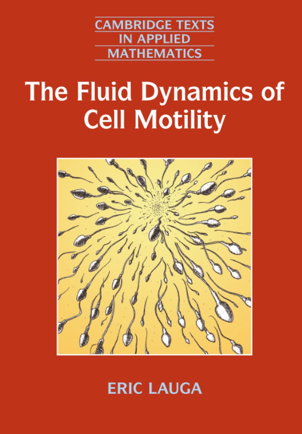 Fluid Dynamics Of Cell Motility