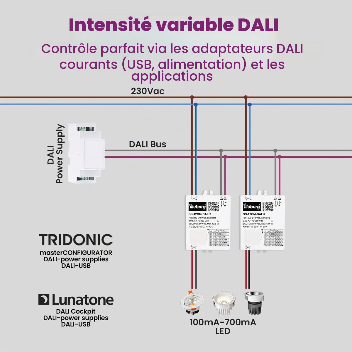 Transformateur LED Variable DALI PUSH 100mA - 700mA Sortie Réglable 12W LED Bloc d'Alimentation Driver