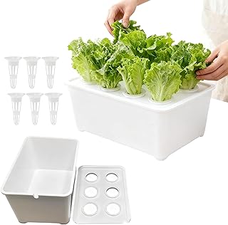 Hydrokultur-Anzuchtsystem – 6 Löcher Hydrokulturbox-Kit für erdlosen Anbau, Indoor-Outdoor-Garten, Gewächshaus, Bauernhof, perfekt für Gemüse, Blumen, Früchte auf Hinterhof, Fensterbank, Balkon