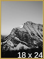 Vista 305 de Frame It Easy Marco de metal rojo de 24 x 36 pulgadas (Hanover)