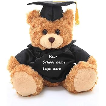graduation teddy bear walmart