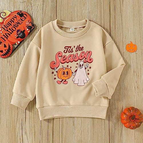 Image of Baby Boy Girl Pumpkin Sweatshirt Tops Toddler Halloween Outfit Long Sleeve Crewneck Pullover Sweater Shirt Fall Clothes
