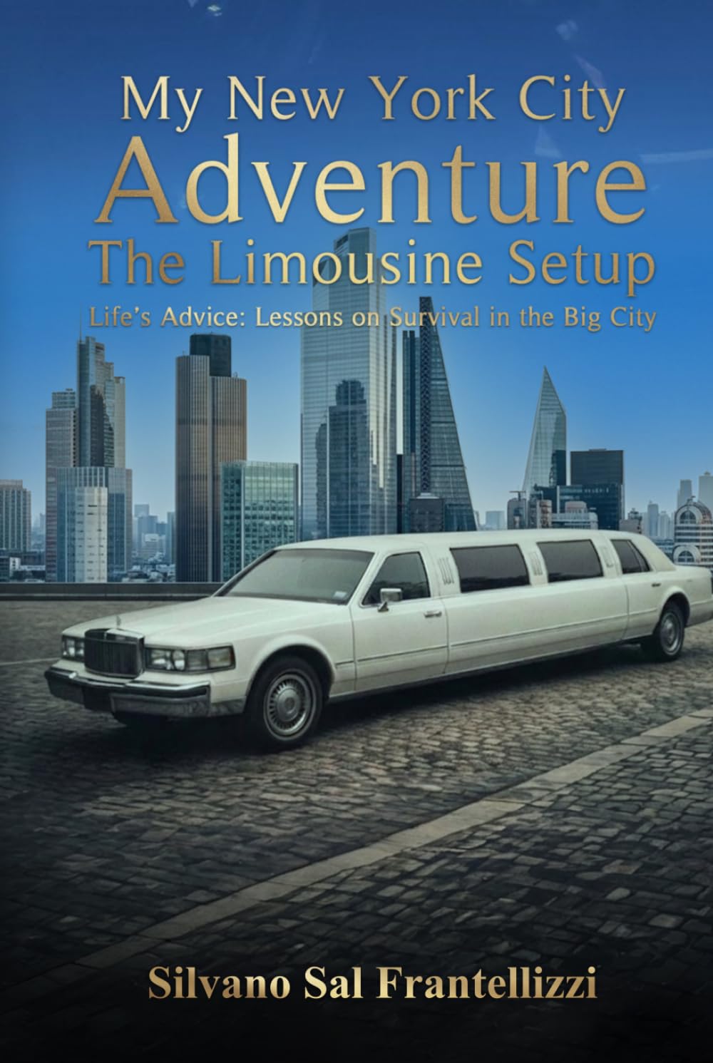 My New York City Adventure: The Limousine Setup