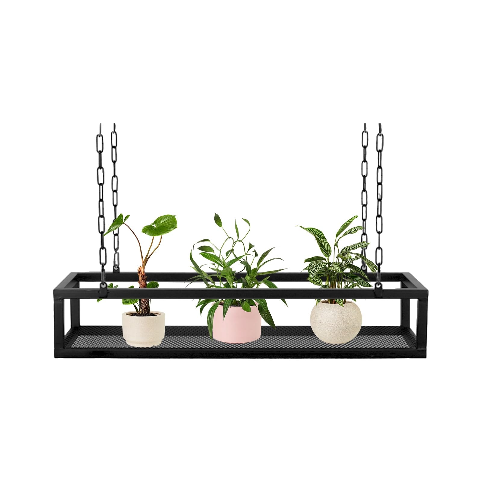 Bar et restaurant sublimés avec l'étagère de plafond pour plantes et verres suspendus