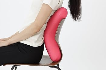 TOKYU SPORTS OASIS バランスクッション Amazon.co.jp: 東急スポーツオアシス ながらクッション Smart