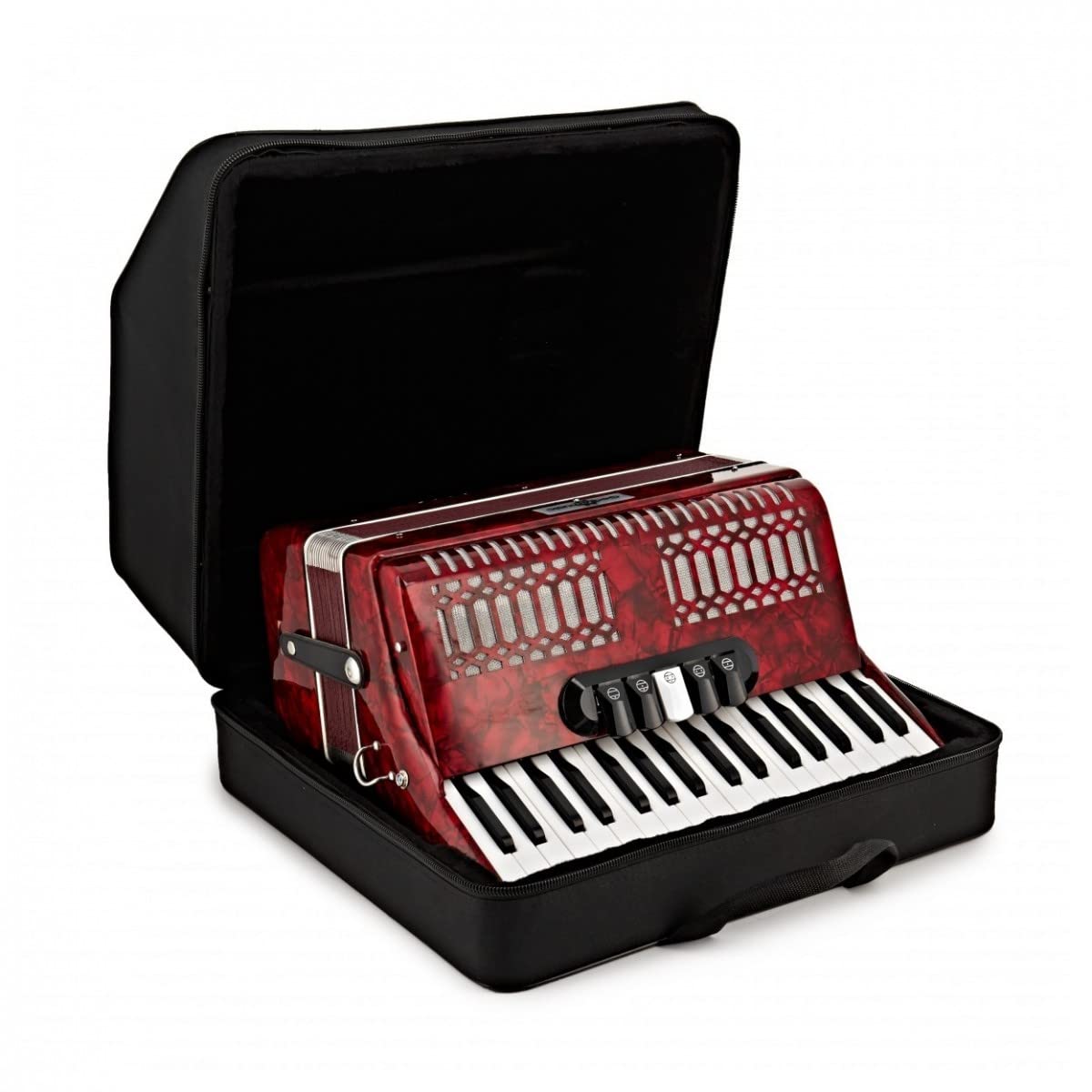Fisarmonica Professionale 34 Note - 48 Bassi, 5 Toni, Con Custodia E Cinghia - Foto 2