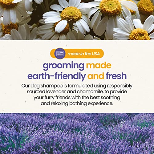 Lavender & Chamomile Aromatherapy Shampoo & Conditioner For Pets, Medicated Oatmeal Dog Shampoo & Pet Odor Eliminator โ 16 FL OZ (473 mL) Lavender & Chamomile Aromatherapy Shampoo & Conditioner For Pets, Medicated Oatmeal Dog Shampoo & Pet Odor Eliminator โ 16 FL OZ (473 mL)