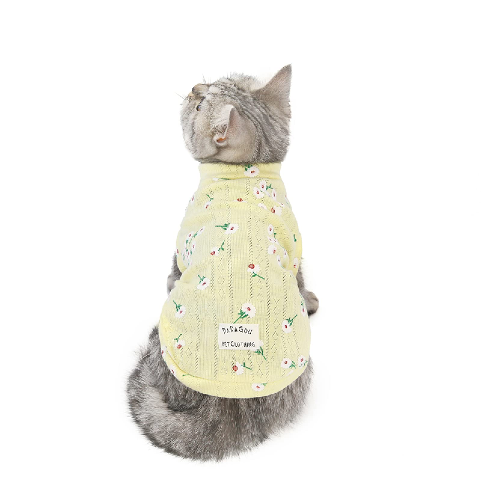 Kat winterjas, outdoor kitten outfit, waterdichte warme jas winddicht