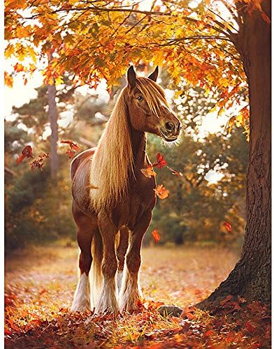 Full Diamond 5D DIY Diamond Painting"Horse & Autumn Maple Grove" Embroidery Cross Stitch Rhinestone Mosaic Painting Gift
