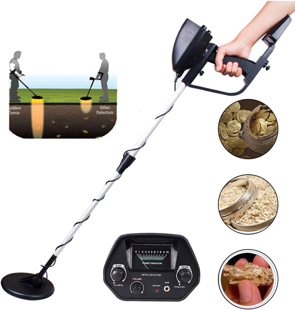 professionisti del rilevamento dell'oro