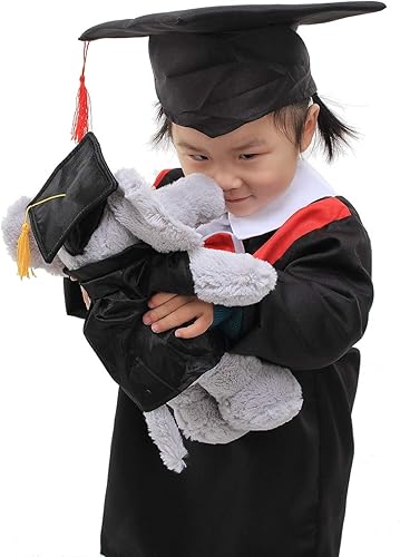 Miniatura 6 de Plushland Juguetes de peluche de cerdo, regalo para el día de graduación, texto personalizado, nombre o logotipo de tu escuela en el vestido, lo