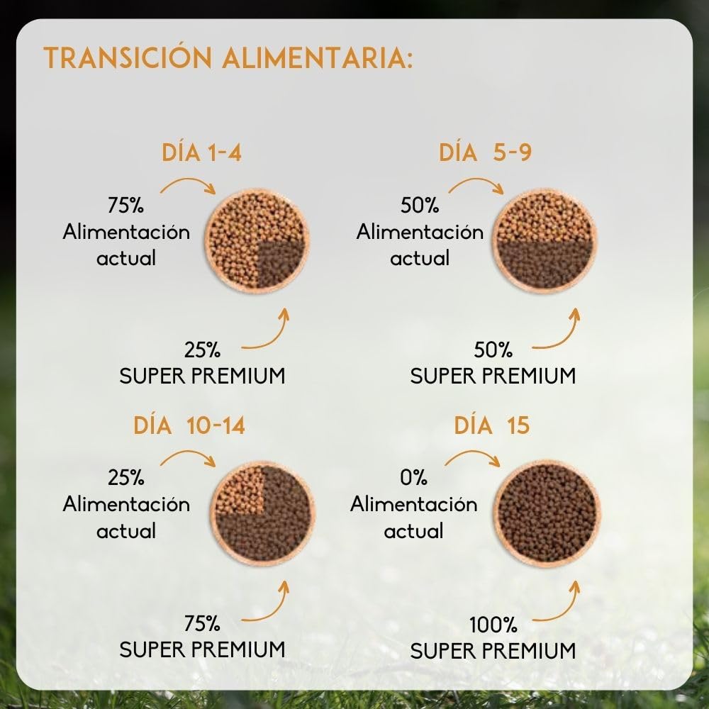 NUEVO Super Premium Ternera Y Pollo 85g - Comida Húmeda Para Gatos