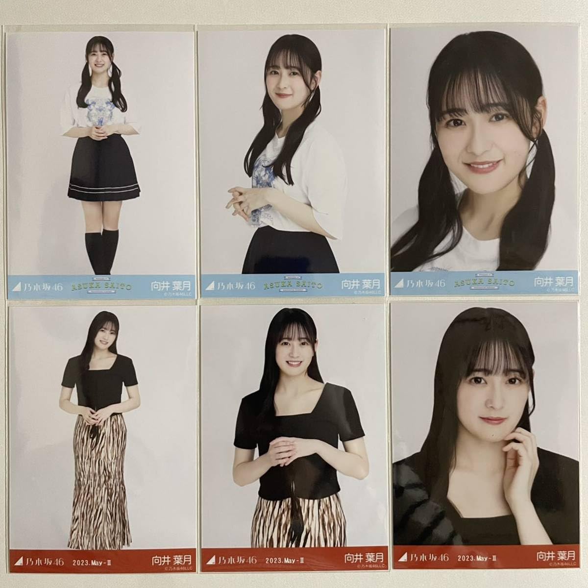 Amazon.co.jp: 乃木坂46 向井葉月 齋藤飛鳥 卒業コンサートTシャツ 