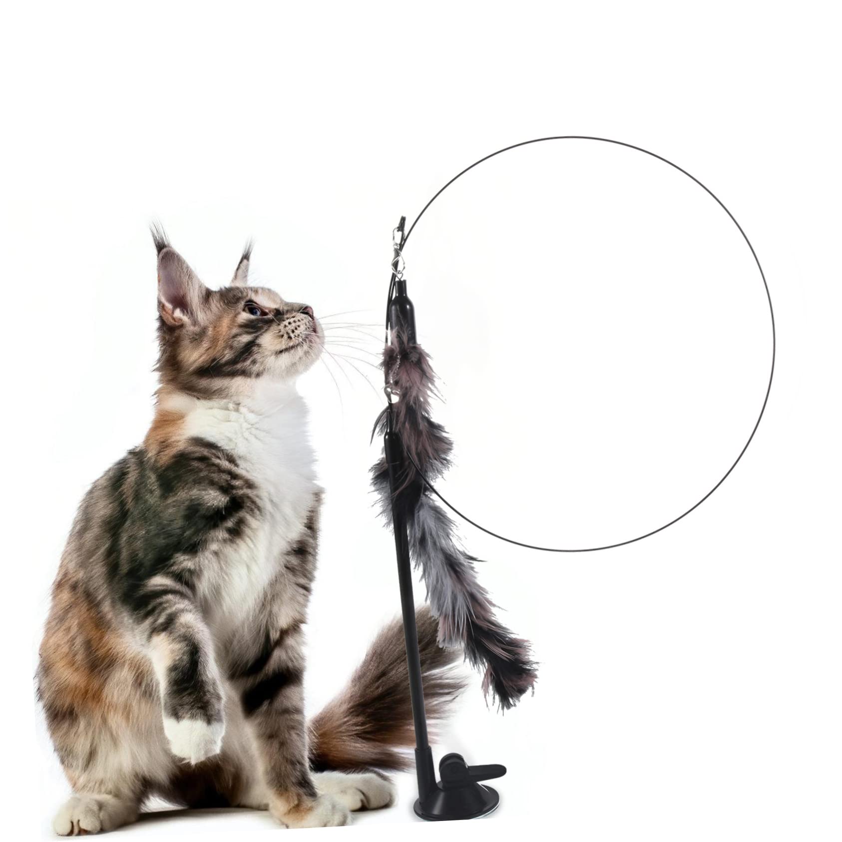 FRCOLOR Jouet pour Chat - avec Clochette - Jouet pour Chaton - interactif - pour Animaux de Compagnie - Canne à pêche pour Chat