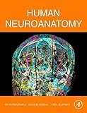 Human Neuroanatomy