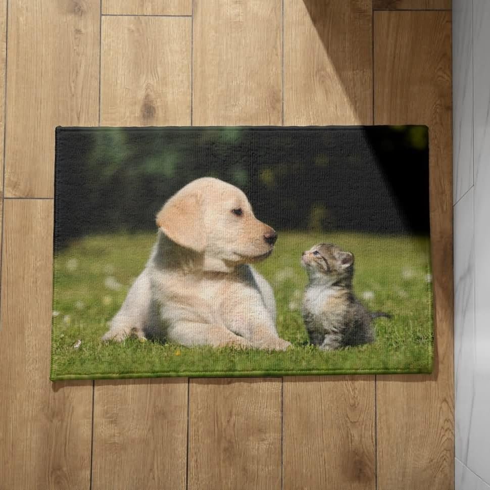 Tapis de sol pour entrée de maison absorbant l'humidité des animaux CEVAN