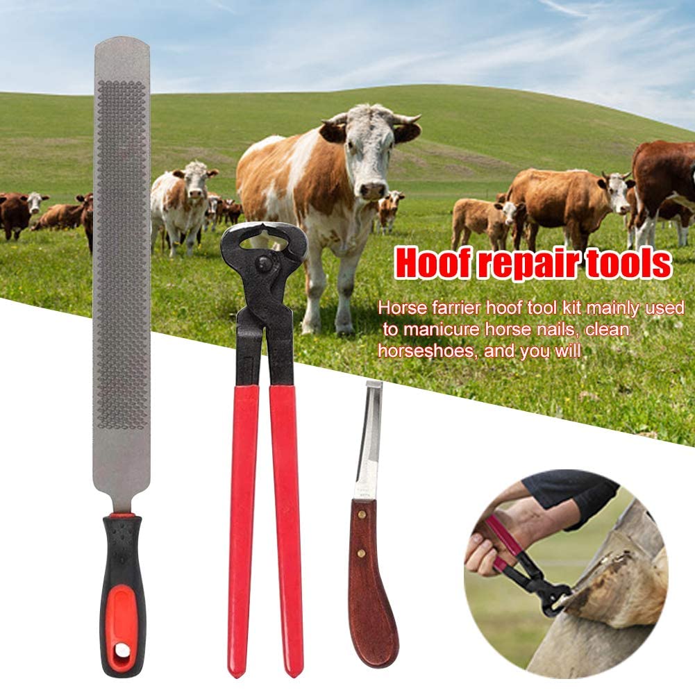 Kit de pinzas para pezuña de caballo, herramienta de corte de pezuña de cabra, herramientas de cuchillo de mango, tijeras de herradura para manicura de uñas de caballo, herraduras limpias