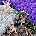 Mood Lab Fairy Garden Kit - Swing Set of 6 pcs Miniature Figurines & Accessories - Hand Painted for Outdoor or House Decor