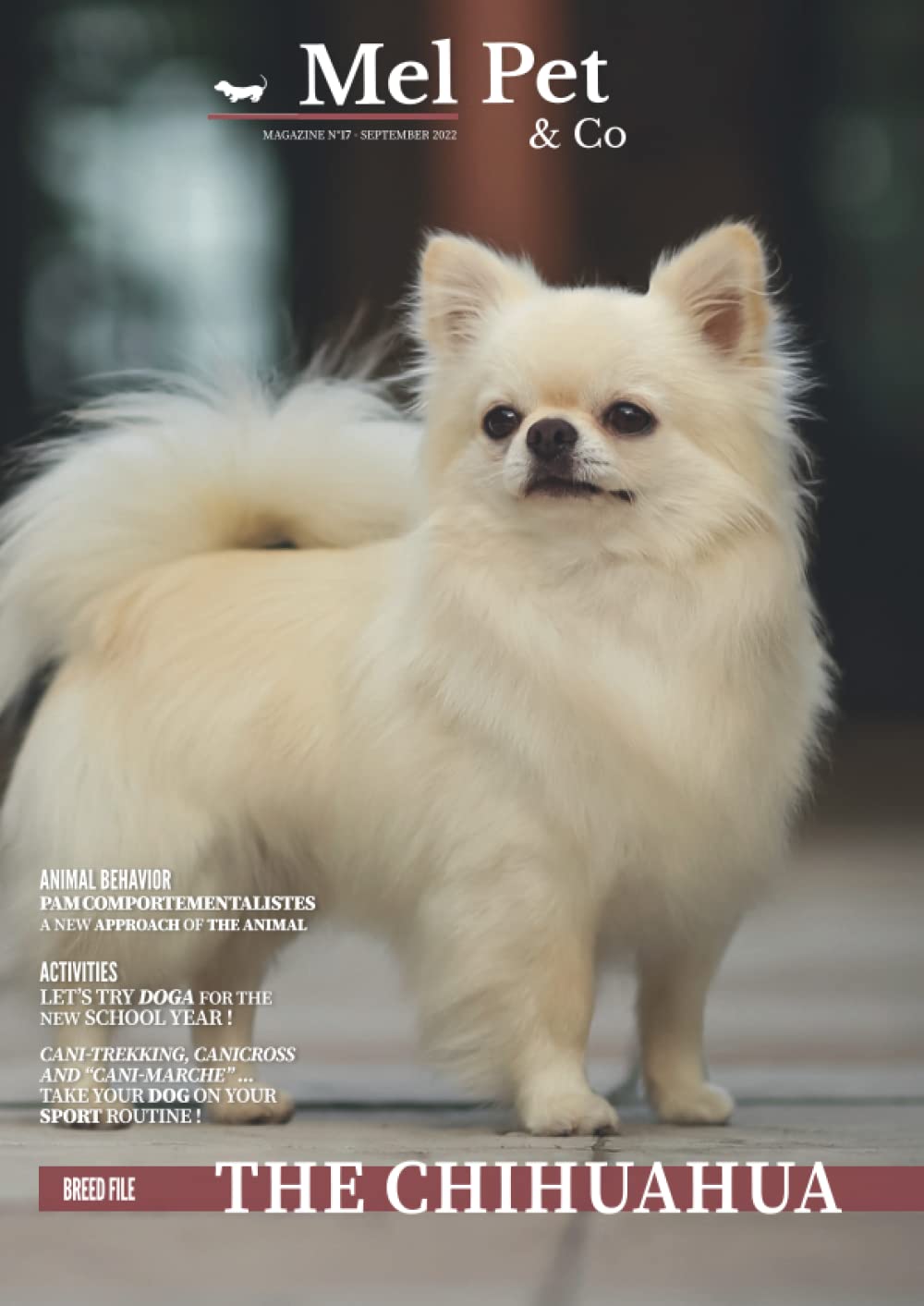 Mel Pet & Co - Magazine #17 : The Chihuahua (Mel Pet & Co - Dog Magazine)