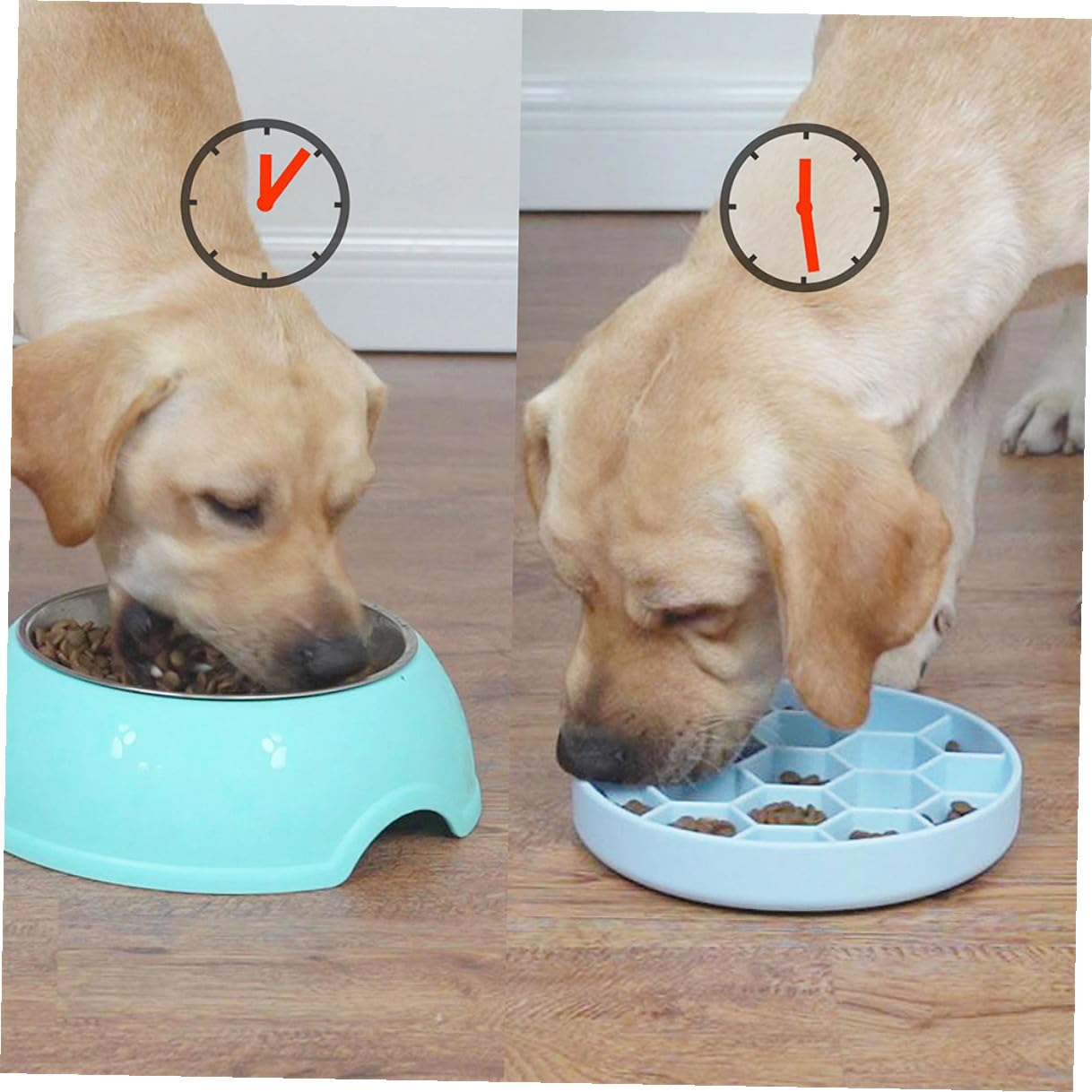 Hundefutternapf mit Langsamer Fütterung aus Silikon, Blau