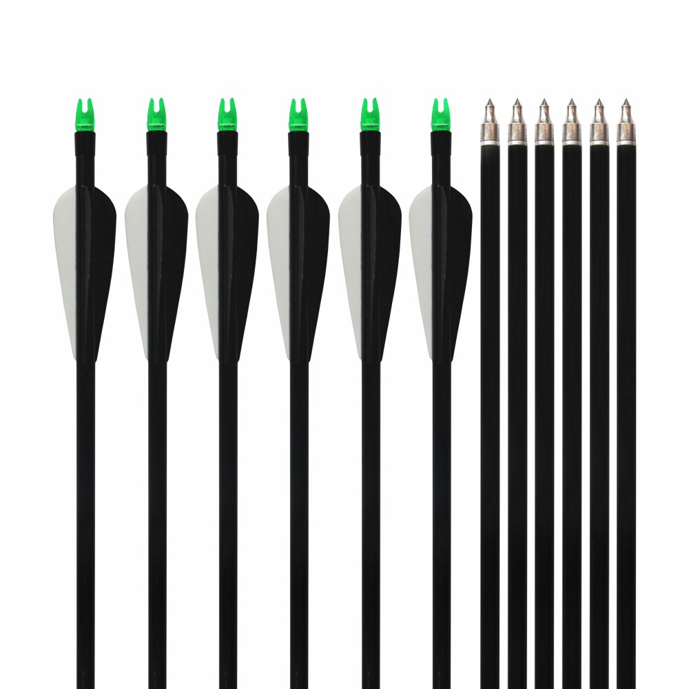 e5e10Fiberglass Target/Hunting Arrows 33-Inch with Replacement Screw-In Target Practice Point for Compound Bow 12pcs