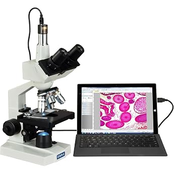 AmScope M83EZ-C50S OMAX 40X-2500X LED Digital Trinocular Lab Compound Microscope with 5MP Camera and Mechanical Table