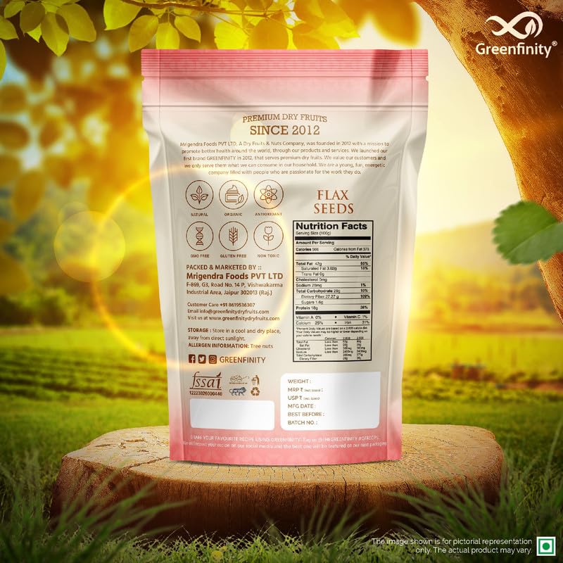 Image of GreenFinity Flax Seeds | Natural, Raw and Healthy Superfood | Rich in Omega-3, Dietary Fibre and Antioxidant | Alsi Beej for Weight Loss, Digestion, Immunity Booster, Smoothies, Baking, Snacks (500g)