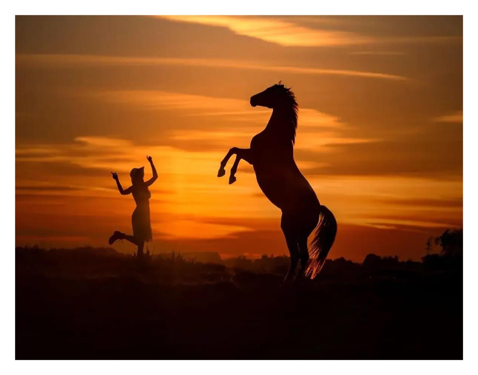 Image cheval pour déco de chambre affiche animal sauvage toile murale 40x60