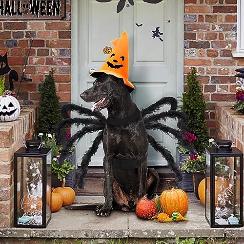 Spinnenkostüm für Haustiere, Halloween, pelzig, riesige Simulationsspinne, Bekleidung für Katzen und kleine bis mittelgroße Hunde, Halloween-Party, Verkleidung, Festival, Dekoration, Cosplay-Kostüm