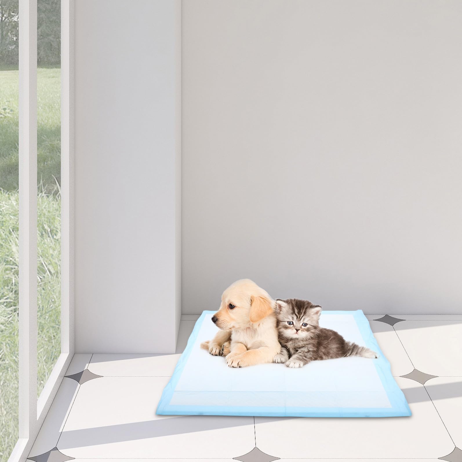 Didiseaon Tappetino Assorbente per Animali Domestici l 60x60 Cm, Pannolino Assorbente per Addestramento Cuccioli e Cani Anziani, Monouso per Casa, Auto e Gabbia