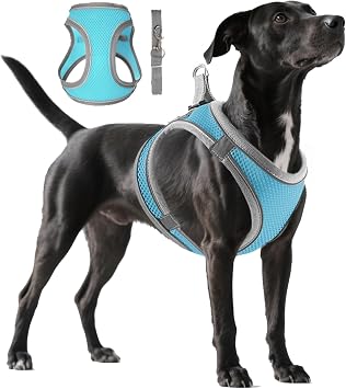 Cat Dog Harness Leash Light Escape Proof Kitten Walking Jacket Soft Small Medium Dog Breathable Mesh Step-in Vest for Puppies Rabbits-L