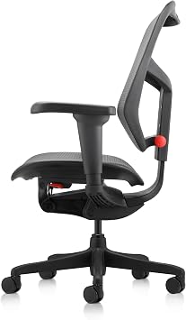 Ergohuman Quantum Ultra Mid Back Ergonomic Office Chair with Lumbar Support, Adjustable Mesh Desk Chair for Back Pain Relief, Black