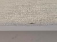 Review Image by Jessie T Jessie T