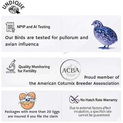 Celadon Coturnix Quail Fertile Hatching Eggs, 12 Count - or Sustainable Hatching and Farming