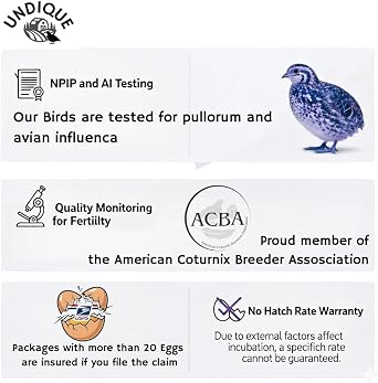 Celadon Coturnix Quail Fertile Hatching Eggs, 12 Count - or Sustainable Hatching and Farming