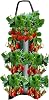 Upside Down Tomatoes Planter, Grow Hanger Bag for Tomatoes Chili Fruit, Garden Hanging Tomatoes Strawberry Planting Grow Bag FJIUMOZEN (1pcs Dark Green 8 Holes)