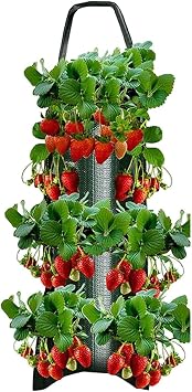 Upside Down Tomatoes Planter, Grow Hanger Bag for Tomatoes Chili Fruit, Garden Hanging Tomatoes Strawberry Planting Grow Bag FJIUMOZEN 1pcs Dark Green 8 Holes