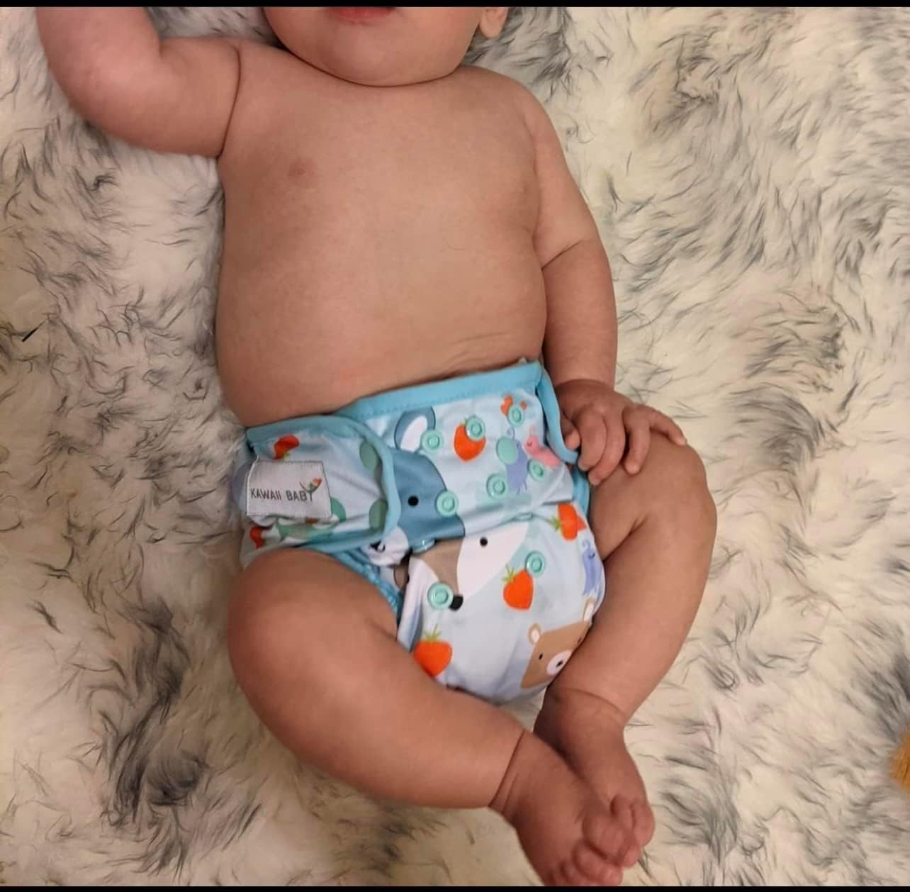 Kawaii Baby 6 Happy Leak-Free Cloth Diaper Covers, Double Waterproof Layer adjustable to fit babies 8-36 pounds (Happy Girl)