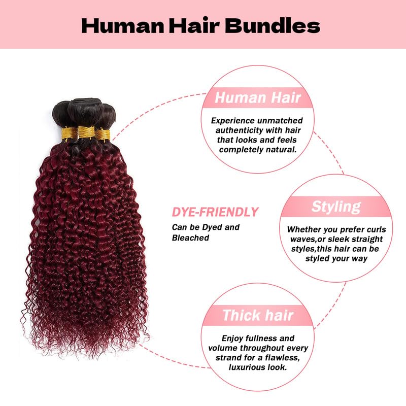 T1B/99J Ombre Burgundy Bundles Human Hair Curly 12 14 16 Inch Curly Human Hair Bundles Brazilian Virgin Remy Quick Weave for Black Women T1B/99J Color