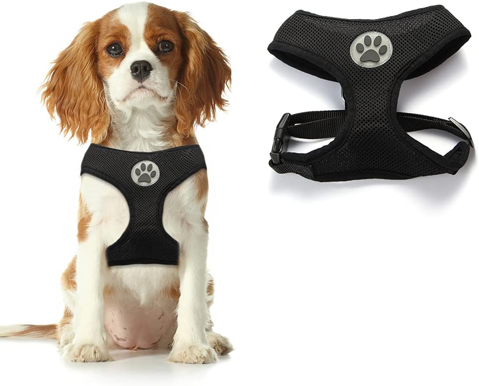 BINGPET Dog Harness - Pet Soft Mesh Walking Vest Puppy Padded Adjustable Harnesses for Kittens Small Dogs, Black Small