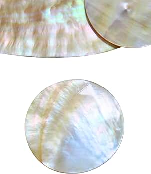 Amazon.co.jp: 【貝殻の問屋さん】真珠貝プレート-シロチョウガイ