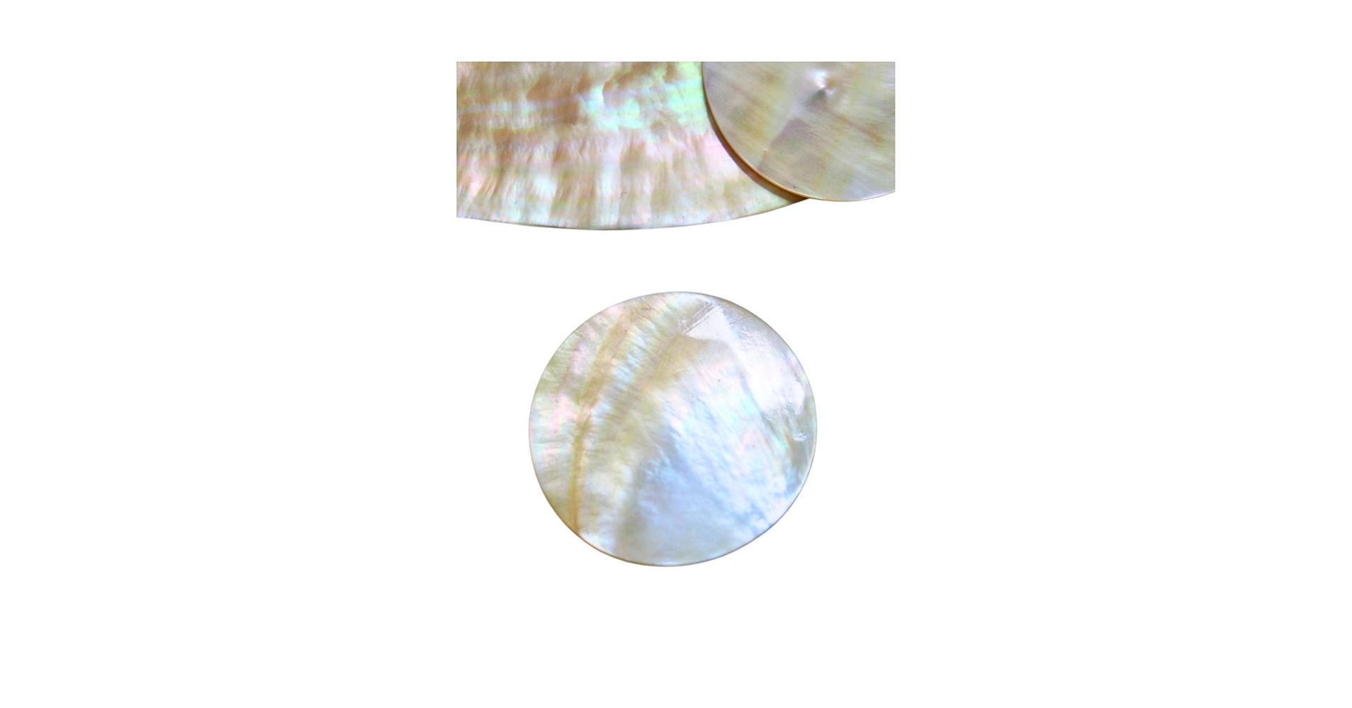 Amazon.co.jp: 【貝殻の問屋さん】真珠貝プレート-シロチョウガイ