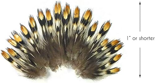 Miniatura 3 de 10 piezas – Mini oro natural ojo de gallo de la selva suelta pluma suelta atado mosca suministro de manualidades | Pluma de luz de luna