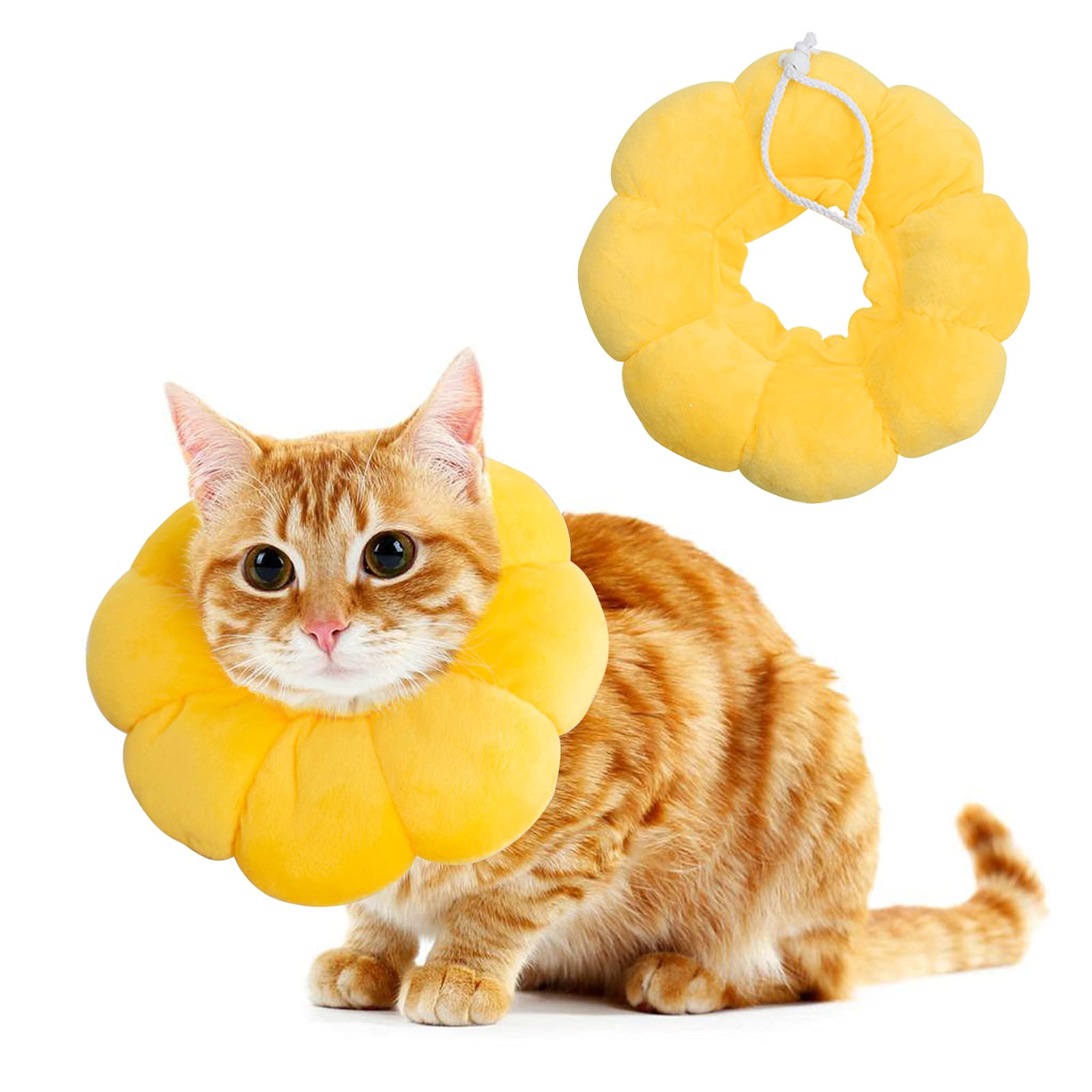 Weicher Katzenkegel Als Halsband – Atmungsaktiv, Verstellbar & Wasserabweisend