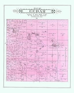 1900 Map of Cedar Township Osceola County Compatible with Michigan (Material: Heavy Weight Matte)