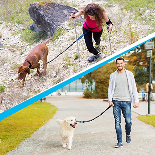 image for SparklyPets Hands-Free Dog Leash for Medium and Large Dogs – Profess